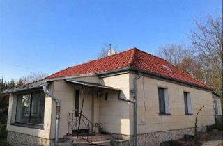 Einfamilienhaus kaufen in 06628 Bad Kösen, Einfamilienhaus mit großem Grundstück im Lanitz-Hassel-Tal