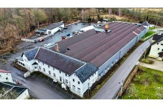 Gewerbeimmobilie mieten in 07318 Saalfeld, Gewerbemietobjekt in Saalfeld mit über 2500 Quadratmetern Fläche