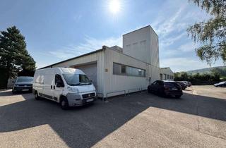 Gewerbeimmobilie kaufen in 91725 Ehingen, Großzügige Produktionshalle mit Übernahmemöglichkeiten oder anderweitiger Nutzung