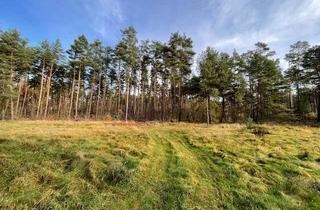 Anlageobjekt in Neu Zittauer Str., 15713 Königs Wusterhausen, Großes Waldgrundstück am Rande Berlins