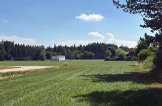 Grundstück zu kaufen in Wölflweg 15, 85653 Aying, Grundstück für Neubau einer Doppelhaushälfte in Aying-Dürrnhaar (Pz 16)