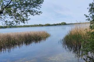 Grundstück zu kaufen in 16348 Wandlitz, +++Neuer Preis, Rarität im Grünen: Zwei Flurstücke mit Zugang zur Badestelle+++