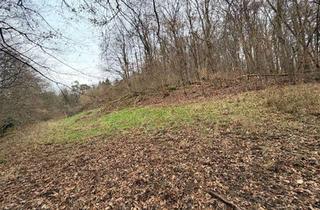 Gewerbeimmobilie kaufen in 63867 Johannesberg, Tolles Grundstück mit altem Baumbestand // Streuobstwiese