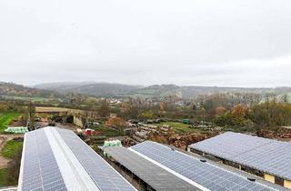 Gewerbeimmobilie kaufen in 37339 Tastungen, Landwirtschaftlicher Betrieb mit Betriebsgelände und ca. 50 ha Grundbesitz