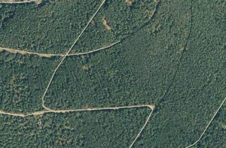 Gewerbeimmobilie kaufen in Hauberg Bergebersbach - Am Hausberg, 35716 Dietzhölztal, Hauberganteile im Haubergdistrikt Am Hausberg Bergebersbach