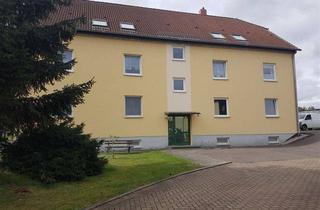 Wohnung mieten in 04774 Dahlen, Niedliche 1R-Wohnung in der Dahlener Heide in Schmannewitz