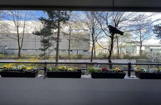 Wohnung kaufen in 81669 München, ERBBAURECHT - freie, frisch renovierte 3 Zi.-Wohnung, Haidhausen/AU - Nh. S-Bahn