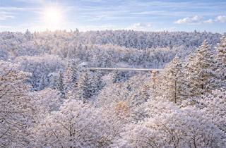 Penthouse kaufen in 82031 Grünwald, Penthouse mit Dachterrasse und Blick ins Isartal