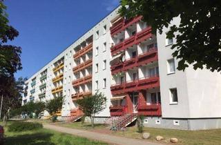 Wohnung mieten in Ziolkowskistraße 53, 19063 Schwerin, Schöne 4 Zimmer Wohnung in Waldnähe