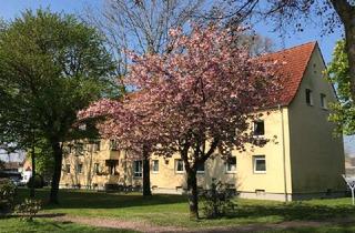 Wohnung mieten in Tulpenweg 19, 33659 Senne, Gemütliche 3-Zimmer-Wohnung im Dachgeschoss