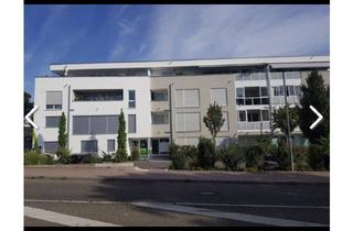 Wohnung mieten in Maulbronner Straße 12-1, 74336 Brackenheim, Schönes neues 1 Zimmer Wohnung im Herzen von Brackenheim