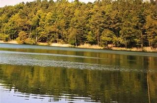 Wohnung mieten in Comthurey, 17237 Wokuhl-Dabelow, 2 Raum DG Wohnung mit Garten am Wald nahe See