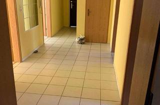 Wohnung mieten in Seestraße 37, 64390 Erzhausen, Helle 3,5 Zimmerwohnung in guter Lage ab 01.03. oder früher zu vermieten