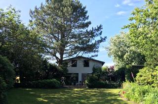 Haus kaufen in 24613 Aukrug, Das Haus der vielen Möglichkeiten - Leben, Arbeiten und Generationen verbinden – in idyllischer Ruhe