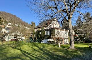 Villa kaufen in 79639 Grenzach-Wyhlen, Stilvolle 11 Zi. Villa auf 1845 qm Traumgrundstück, TOP Lage, Traumgarten, Photovoltaikanlage u.v.m.