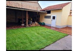 Haus mieten in 67587 Wintersheim, gemütliches u. ruhiges Einfamilienhaus1250 € - 101 m² - 3.5 Zi.