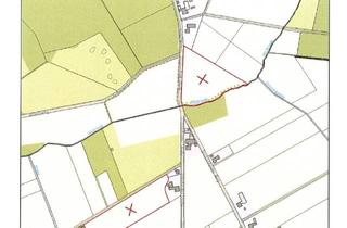 Immobilie kaufen in 32479 Hille, Verpachtete Ackerflächen in Hille und Frotheim