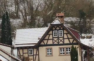 Haus kaufen in 63808 Haibach, Haibach - Architekten-Landhaus mit Naturgarten - ruhig, individuell & gut angebunden (Rhein-Main)