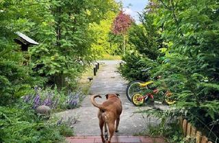 Haus kaufen in 15324 Letschin, Letschin - Sanierter Wohlfühlhof: Brunnen, Wilkräuter und Weintrauben