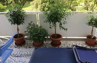 Wohnung kaufen in 71686 Remseck, Remseck am Neckar - 5,5 Zimmer plus 2 Hobbyräume in Pattonville, wohnen im Grünen,