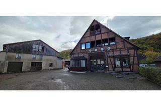 Bauernhaus kaufen in 37619 Bodenwerder, Bodenwerder - Wohnhaus mit Werkstatt und Nebengebäuden