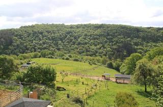 Bauernhaus kaufen in 55606 Kirn, Kirn - Sanierter Bauernhof zur Pferdehaltung mit knapp 9 Ha Weideland
