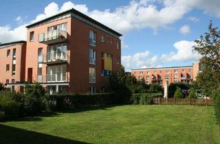 Wohnung mieten in Netzestraße 36a, 22547 Lurup, Gemütliche 2-Zimmerwohnung in Lurup