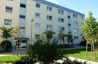 Wohnung mieten in Adolf-Kolping-Straße 10, 67071 Oggersheim, 1 Zimmer-Wohnung in Oggersheim