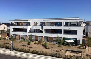 Wohnung mieten in Marianne-Andreas-Weg, 50389 Wesseling, Appartement mit Dachterrasse in Wesseling-Eichholz