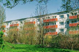 Wohnung mieten in Philipp-Hackert-Straße 14, 17291 Prenzlau, 1-Raum-Wohnung im Erdgeschoss