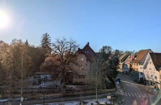 Wohnung mieten in Adlerplatz 1-3, 88605 Meßkirch, 3-Zimmer-Wohnung in zentraler Lage von Meßkirch