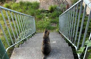 WG-Zimmer mieten in 68259 Wallstadt, Mitbewohnerin gesucht für gemütliche WG mit Garten