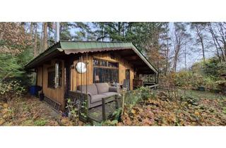 Haus kaufen in 29456 Hitzacker, Idyllisches Blockhaus in gefühlter Alleinlage auf großem Grundstück