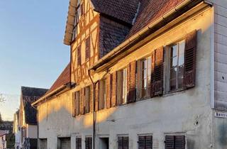 Haus kaufen in Haupstrasse 14, 55596 Waldböckelheim, Denkmalobjekt mit Kuhkapelle + gr. Potential im Sanierungsgebiet (Afa)