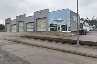 Büro zu mieten in Raiffeisenstrasse, 74523 Schwäbisch Hall, Halle mit Büro und Sozialräumen und Parkplätzen