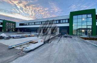 Büro zu mieten in 61440 Oberursel, NEUBAU NACH MIETERWUNSCH ✓ Lager (4.000 m²) & Büro (600 m²)