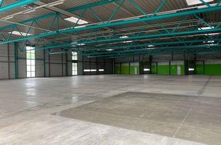 Gewerbeimmobilie mieten in 14974 Ludwigsfelde, Lagerfläche-Palettenstellplätze-Logistik-Warehousing