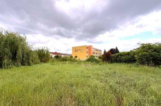 Grundstück zu kaufen in Schulstraße 10, 01920 Oßling, + Provisionsfreies Baugrundstück in Oßling kaufen+