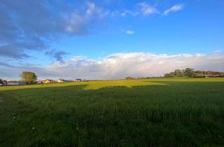 Grundstück zu kaufen in Eilenburger Chaussee, 04838 Doberschütz, **Voll erschlossene Baugrundstücke in Doberschütz**