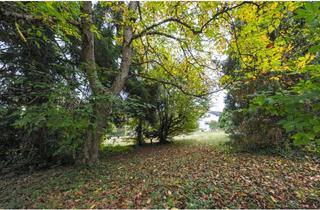 Grundstück zu kaufen in 65779 Kelkheim, Grundstück mit klarer Perspektive für ein hochwertiges Einfamilienhaus