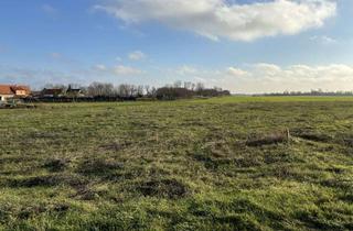 Grundstück zu kaufen in Ringstraße, 16356 Werneuchen, freier Blick, direkt am Feldrand,-Provisionsfrei und ohne Bauträger, Krummensee (Werneuchen)