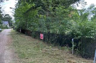 Grundstück zu kaufen in 15537 Grünheide, Jetzt zum Jahresbeginn, Grundstück sichern, Neubau starten, nächstes Jahr zuhause sein!