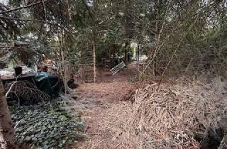 Grundstück zu kaufen in 14656 Brieselang, Jetzt zum Jahresbeginn, Grundstück sichern, Neubau starten, nächstes Jahr zuhause sein!