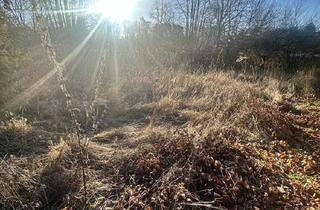 Grundstück zu kaufen in Gärtnereiweg, 30974 Wennigsen, Baugrundstück in idyllischer Lage von Wennigser Mark - ideal für Familien