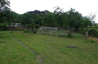 Gewerbeimmobilie kaufen in 64319 Pfungstadt, ### BAUGRUND FÜR IHR TRAUMHAUS, REIHEN- UND DOPPELHÄUSER ODER EIGENTUMSWOHNUNGEN ###