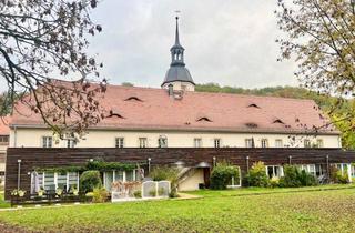 Wohnung kaufen in 01731 Kreischa, www.immovista.de CHARMANTE TERRASSENWOHNUNG IN HISTORISCHEM AMBIENTE - MITTEN IM GRÜNEN