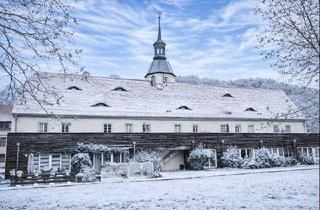 Wohnung kaufen in 01731 Kreischa, www.immovista.de CHARMANTE TERRASSENWOHNUNG IN HISTORISCHEM AMBIENTE - MITTEN IM GRÜNEN
