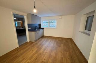 Wohnung mieten in 88048 Friedrichshafen, Neues 1-Zimmer-Apartment (Erstbezug) in Friedrichshafen-Kluftern