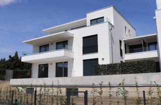 Wohnung mieten in Waldstraße 14C, 85395 Attenkirchen, 3-Zimmer Neubauwohnung im Erdgeschoss mit großer Terrasse und Garten