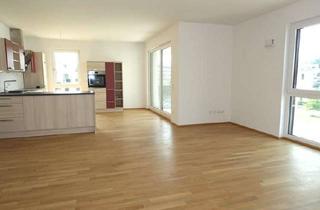 Wohnung mieten in 96047 Bamberg, Großzügige 2 Zimmer Wohnung mit Süd-West-Balkon, Bamberg Erbainsel